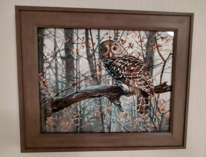 Hey Pandas, Show Me Your Cool Crafts