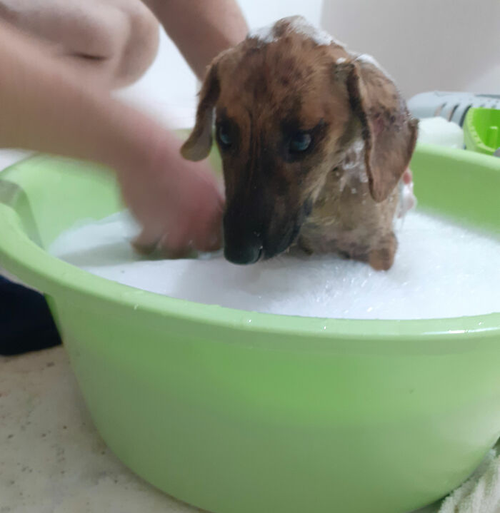 We Are Running Romania’s Largest Cat Shelter With 300+ Cats Who Are In Need Of Help Everyday We Are Running Romania’s Largest Cat Shelter With 300+ Cats Who Are In Need Of Help Everyday