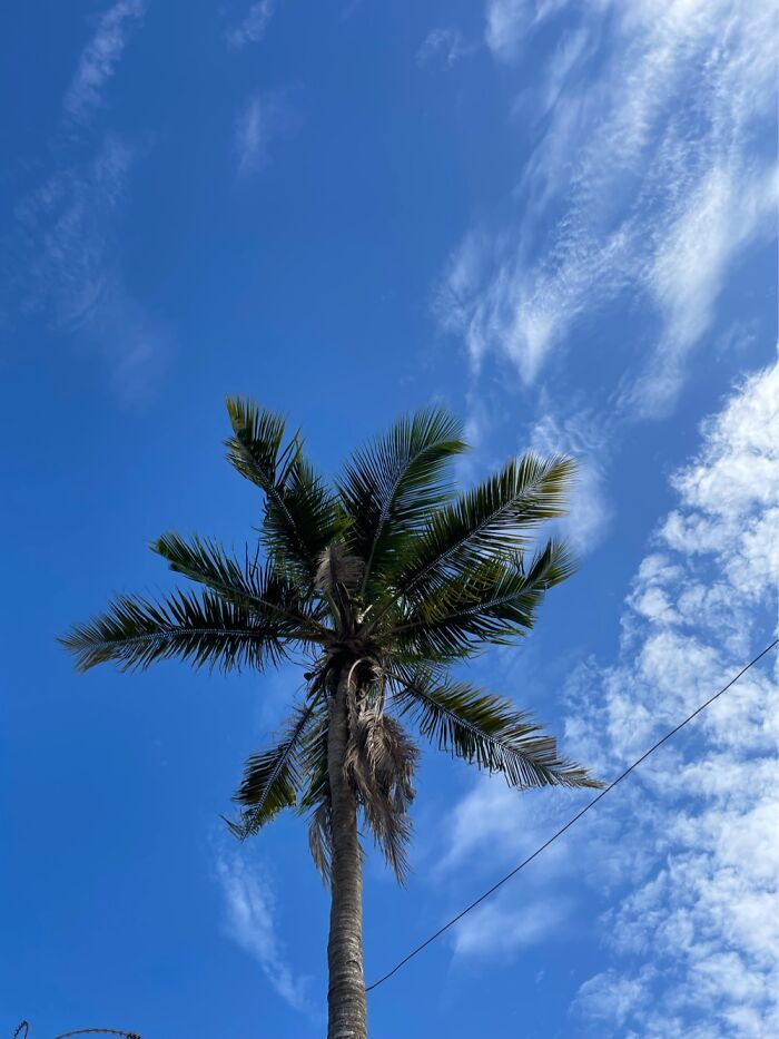 Hey Pandas, Share The Best Pics You Took Of The Sky (Closed)