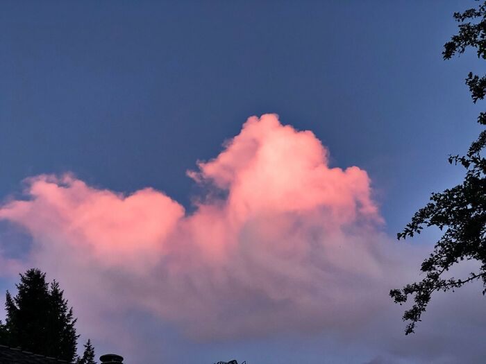 Hey Pandas, Share The Best Pics You Took Of The Sky (Closed)