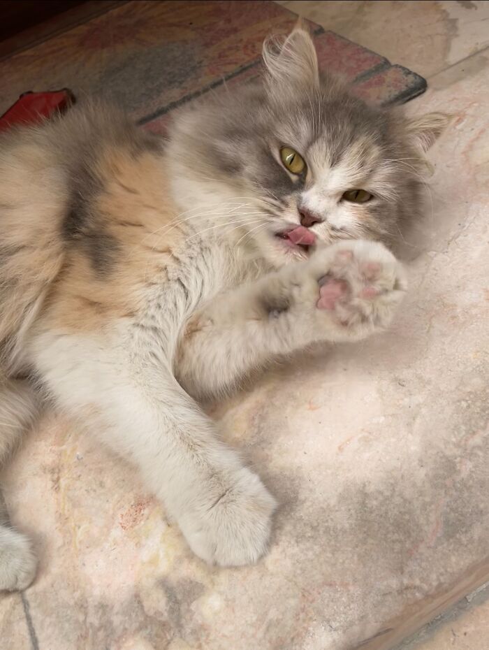 Hey Pandas, Share A Picture Of Your Pet Enjoying Nature (Closed)