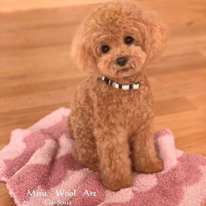 This Artist Creates Such Adorable Animals, It’s Hard To Believe They’re Made Of Wool (23 New Pics) This Artist Creates Such Adorable Animals, It’s Hard To Believe They’re Made Of Wool (23 New Pics)