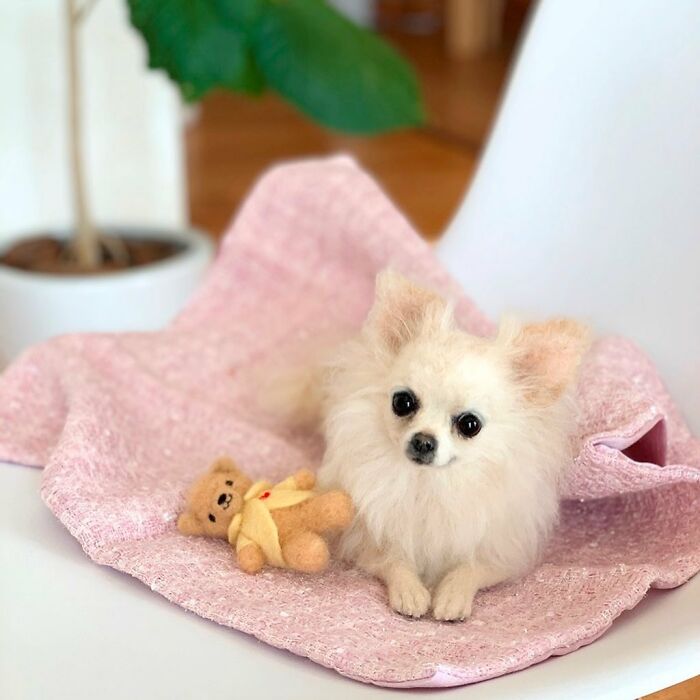 This Artist Creates Such Adorable Animals, It’s Hard To Believe They’re Made Of Wool (23 New Pics) This Artist Creates Such Adorable Animals, It’s Hard To Believe They’re Made Of Wool (23 New Pics)