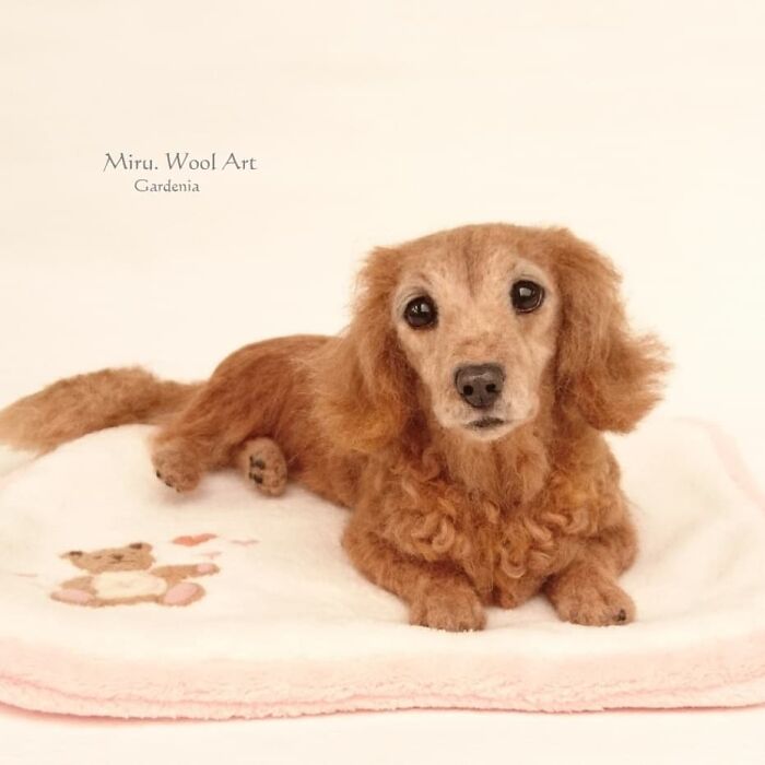 This Artist Creates Such Adorable Animals, It’s Hard To Believe They’re Made Of Wool (23 New Pics) This Artist Creates Such Adorable Animals, It’s Hard To Believe They’re Made Of Wool (23 New Pics)