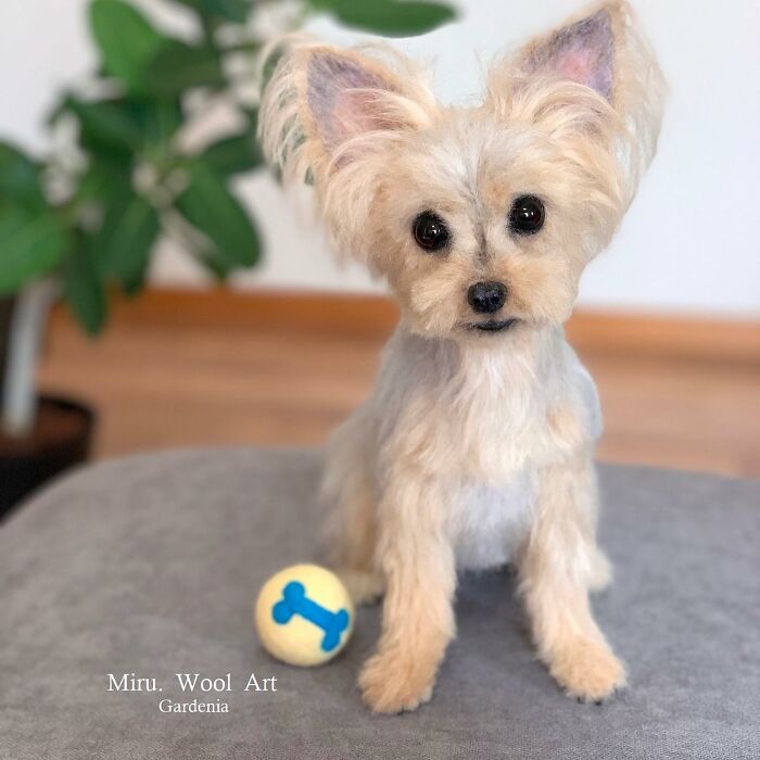 This Artist Creates Such Adorable Animals, It’s Hard To Believe They’re Made Of Wool (23 New Pics) This Artist Creates Such Adorable Animals, It’s Hard To Believe They’re Made Of Wool (23 New Pics)