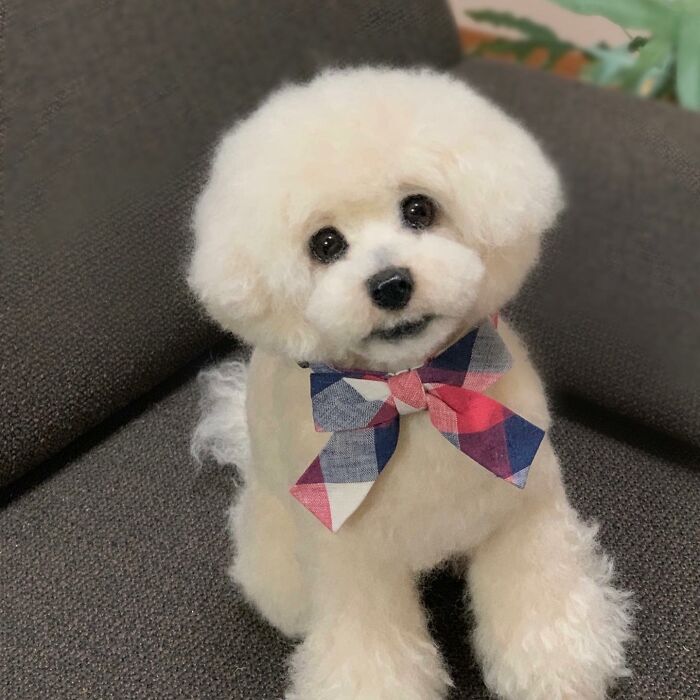 This Artist Creates Such Adorable Animals, It’s Hard To Believe They’re Made Of Wool (23 New Pics) This Artist Creates Such Adorable Animals, It’s Hard To Believe They’re Made Of Wool (23 New Pics)