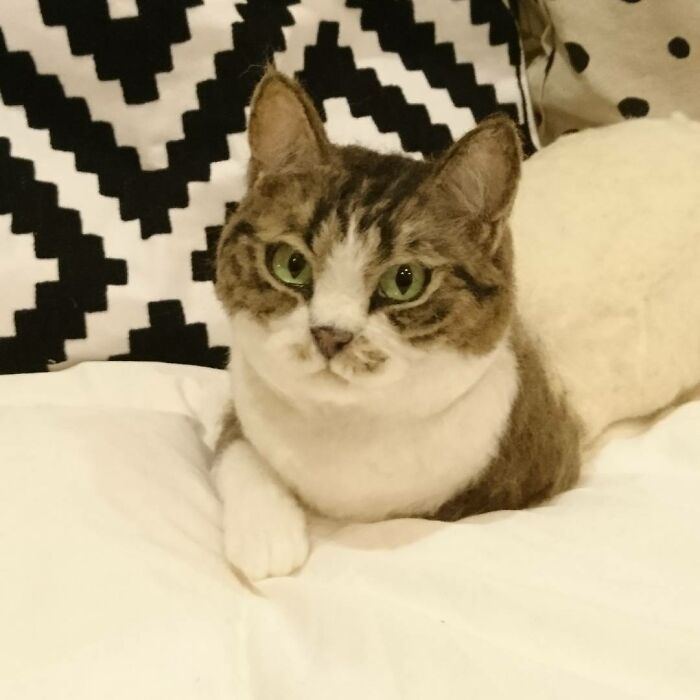 This Artist Creates Such Adorable Animals, It’s Hard To Believe They’re Made Of Wool (23 New Pics) This Artist Creates Such Adorable Animals, It’s Hard To Believe They’re Made Of Wool (23 New Pics)