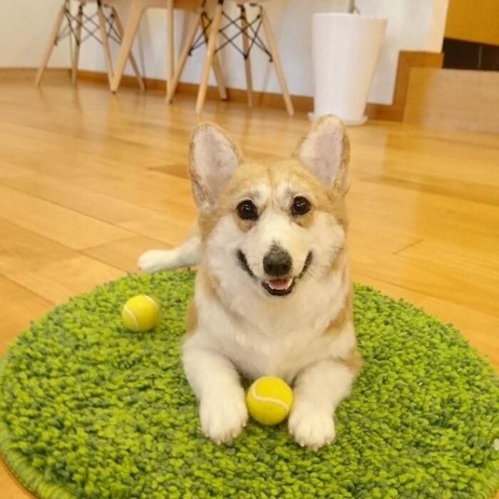 This Artist Creates Such Adorable Animals, It’s Hard To Believe They’re Made Of Wool (23 New Pics) This Artist Creates Such Adorable Animals, It’s Hard To Believe They’re Made Of Wool (23 New Pics)