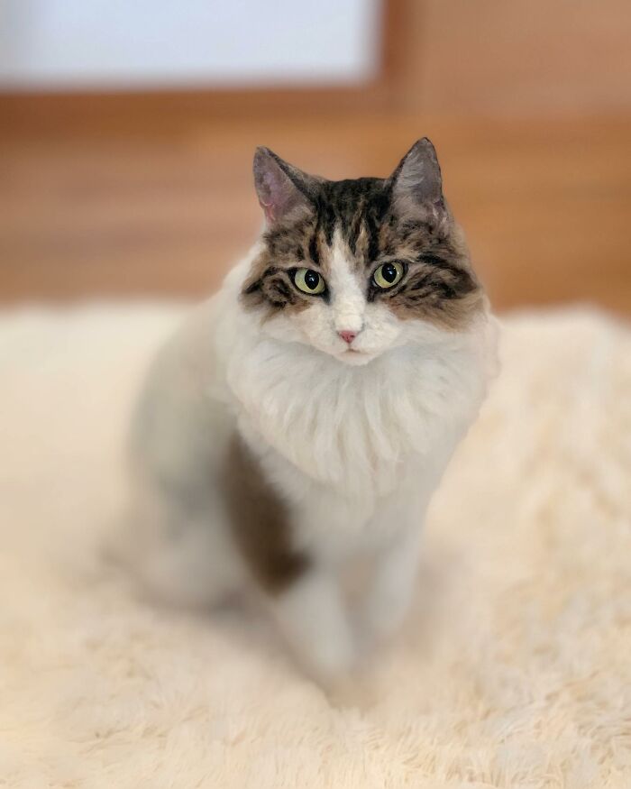 This Artist Creates Such Adorable Animals, It’s Hard To Believe They’re Made Of Wool (23 New Pics) This Artist Creates Such Adorable Animals, It’s Hard To Believe They’re Made Of Wool (23 New Pics)