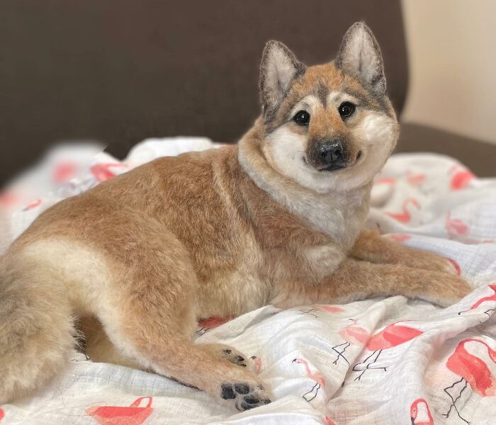 This Artist Creates Such Adorable Animals, It’s Hard To Believe They’re Made Of Wool (23 New Pics) This Artist Creates Such Adorable Animals, It’s Hard To Believe They’re Made Of Wool (23 New Pics)