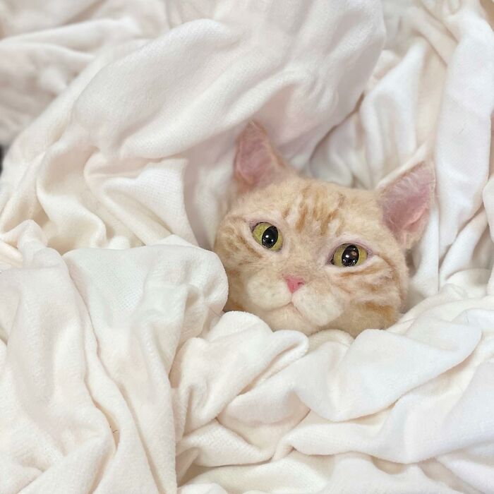 This Artist Creates Such Adorable Animals, It’s Hard To Believe They’re Made Of Wool (23 New Pics) This Artist Creates Such Adorable Animals, It’s Hard To Believe They’re Made Of Wool (23 New Pics)