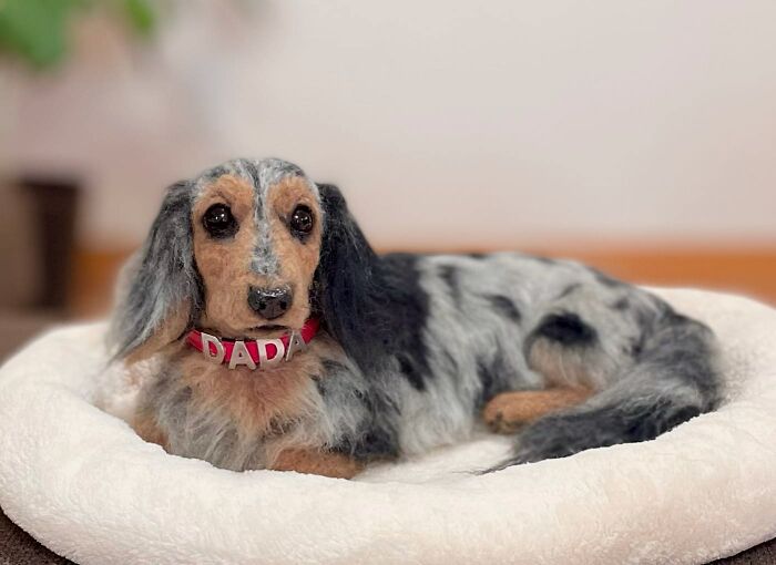 This Artist Creates Such Adorable Animals, It’s Hard To Believe They’re Made Of Wool (23 New Pics) This Artist Creates Such Adorable Animals, It’s Hard To Believe They’re Made Of Wool (23 New Pics)