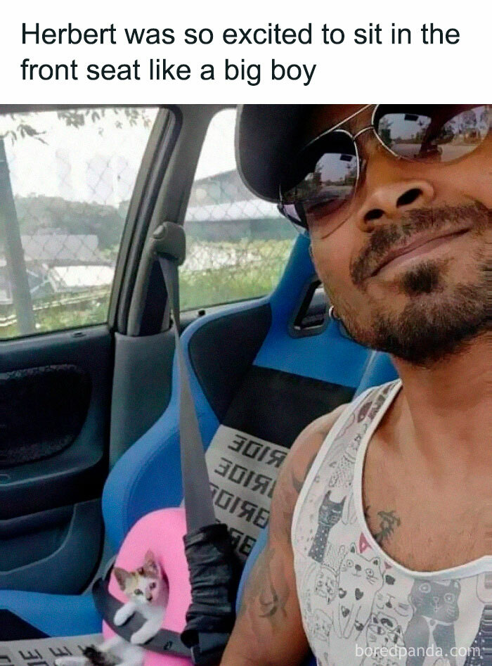 105 Relatable Cat Memes You’ll Probably Wish You Could Tag Your Cat In 105 Relatable Cat Memes You’ll Probably Wish You Could Tag Your Cat In