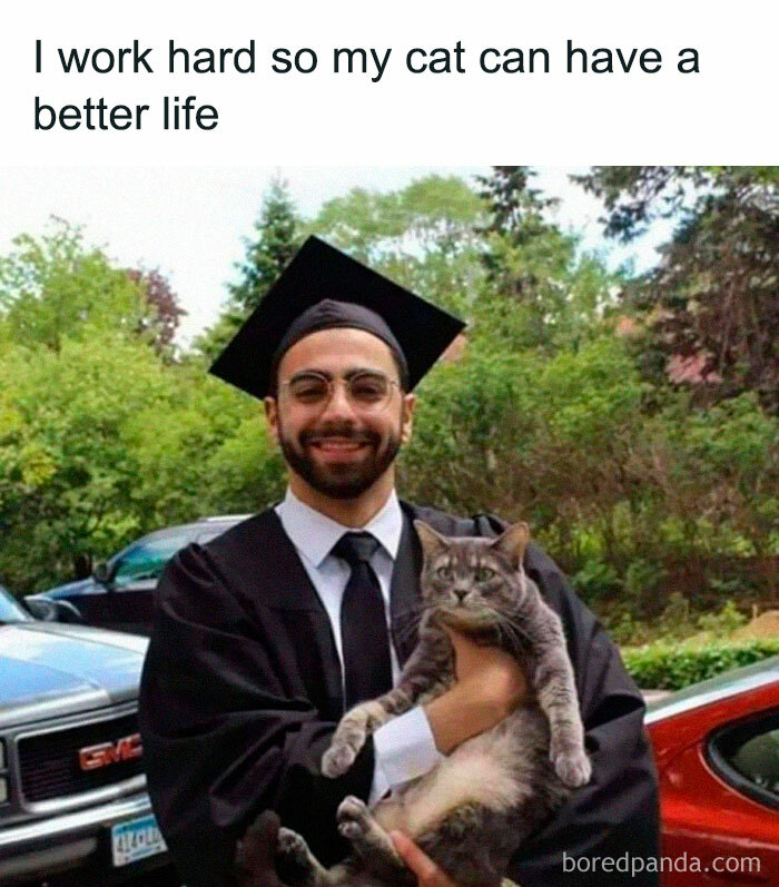 105 Relatable Cat Memes You’ll Probably Wish You Could Tag Your Cat In 105 Relatable Cat Memes You’ll Probably Wish You Could Tag Your Cat In