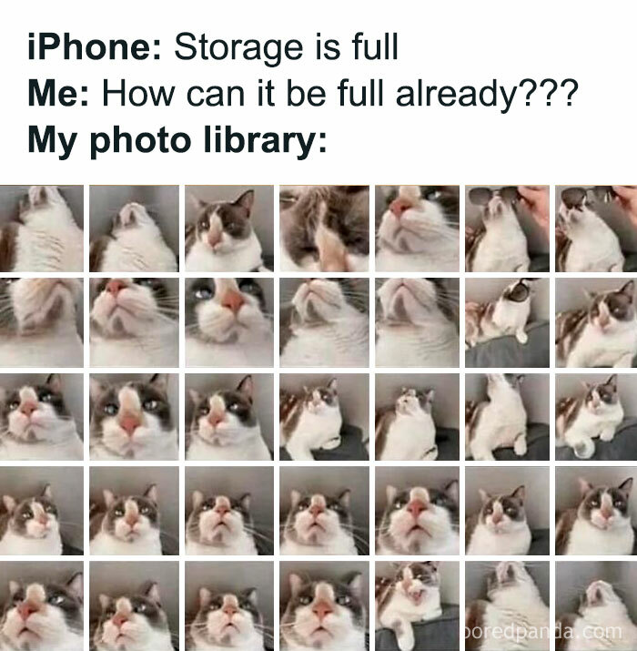 105 Relatable Cat Memes You’ll Probably Wish You Could Tag Your Cat In 105 Relatable Cat Memes You’ll Probably Wish You Could Tag Your Cat In