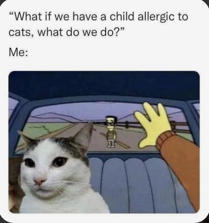 105 Relatable Cat Memes You’ll Probably Wish You Could Tag Your Cat In 105 Relatable Cat Memes You’ll Probably Wish You Could Tag Your Cat In