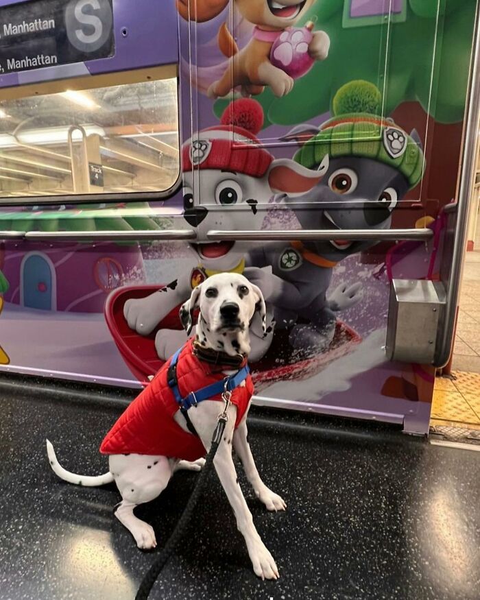 30 Of The Funniest Photos Of People Sitting Under Subway Signs That Resemble Them, As Shared On ‘Subway Creatures’ 30 Of The Funniest Photos Of People Sitting Under Subway Signs That Resemble Them, As Shared On ‘Subway Creatures’