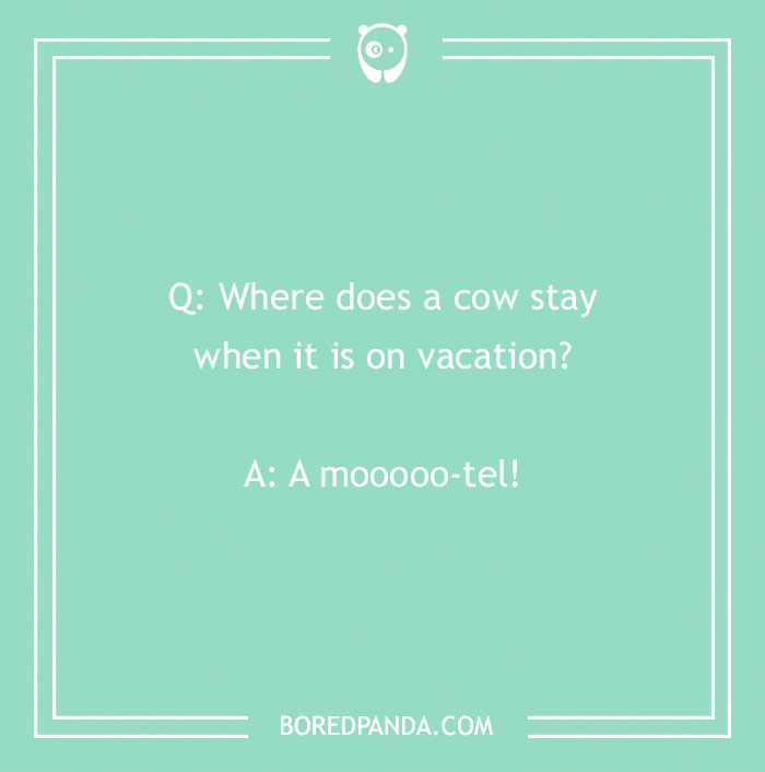 92 Travel Jokes To Quench Your Wanderlust 92 Travel Jokes To Quench Your Wanderlust