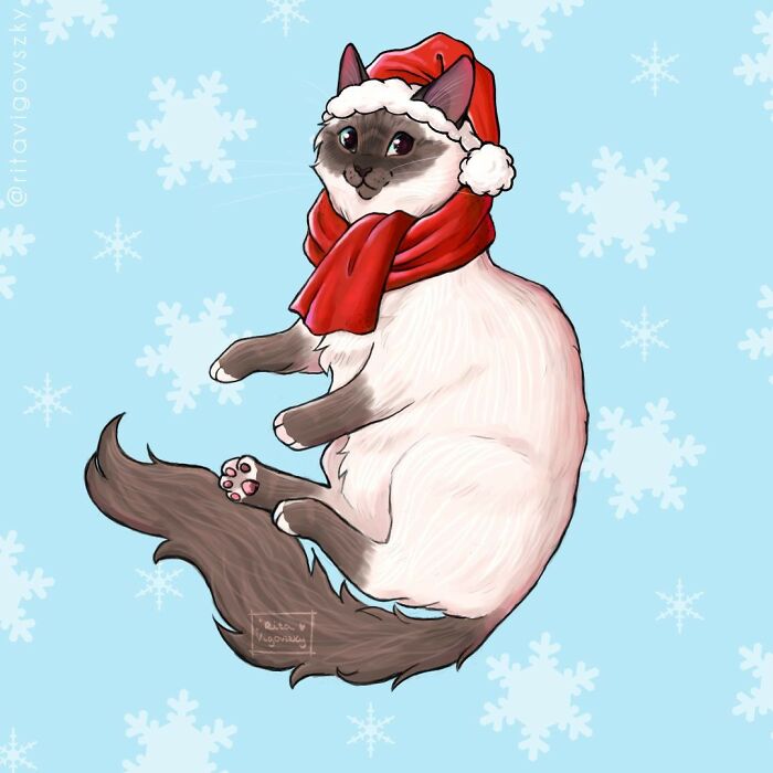 Artist Illustrates What Everyday Life With Her Cat Is Like (30 New Pics)