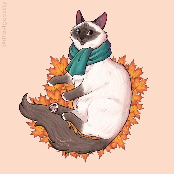 Artist Illustrates What Everyday Life With Her Cat Is Like (30 New Pics)