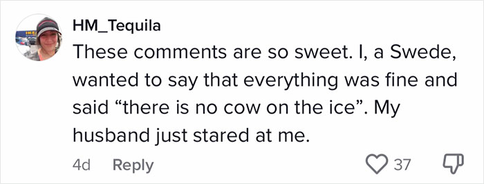 50 Times Non-Native English Speakers Tried To Say Something And It Came Out In Funny And Sweet &#8216;Translations&#8217;