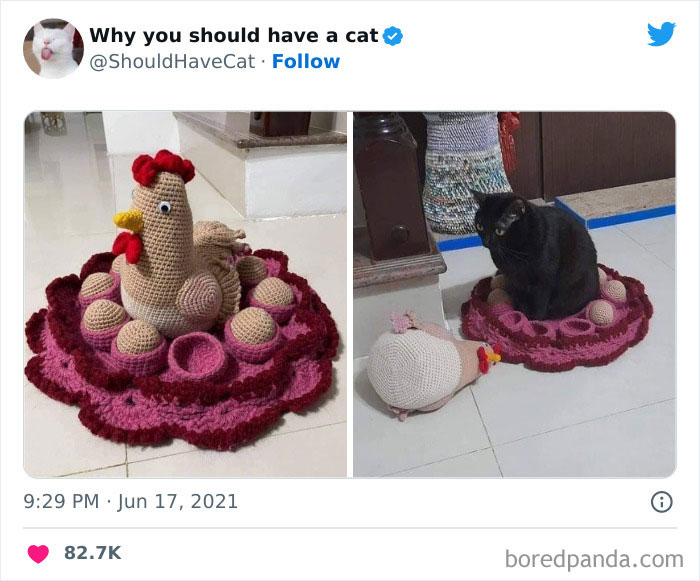 This Twitter Account Shares “Reasons” Why You Should Have A Cat, And Here Are 50 Of The Top Ones This Twitter Account Shares “Reasons” Why You Should Have A Cat, And Here Are 50 Of The Top Ones