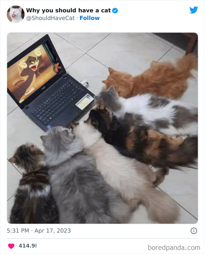 This Twitter Account Shares “Reasons” Why You Should Have A Cat, And Here Are 50 Of The Top Ones This Twitter Account Shares “Reasons” Why You Should Have A Cat, And Here Are 50 Of The Top Ones