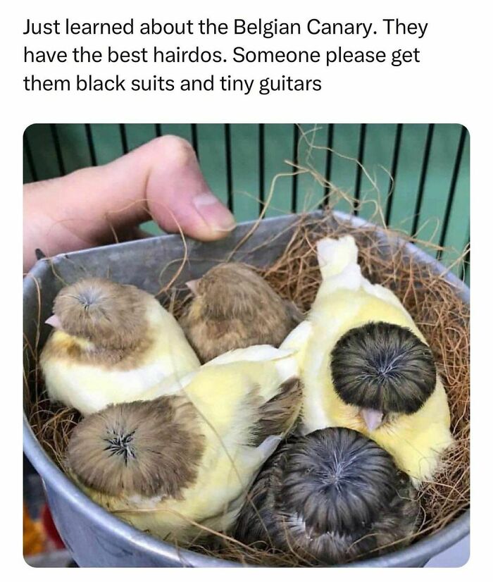 If The World Feels Like A Terrible Place, These 50 Wholesome Pics And Memes Might Cheer You Up If The World Feels Like A Terrible Place, These 50 Wholesome Pics And Memes Might Cheer You Up