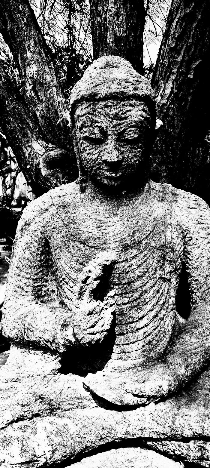 Hey Pandas, Post The Best Photographs You Took In April (Closed) Hey Pandas, Post The Best Photographs You Took In April (Closed)