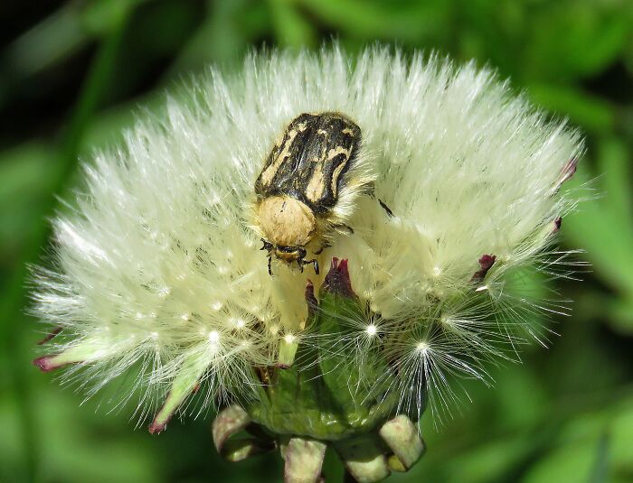 Hey Pandas, Post The Best Photographs You Took In April (Closed) Hey Pandas, Post The Best Photographs You Took In April (Closed)