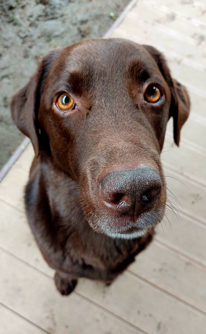 Hey Pandas, Post The Best Photographs You Took In April (Closed) Hey Pandas, Post The Best Photographs You Took In April (Closed)