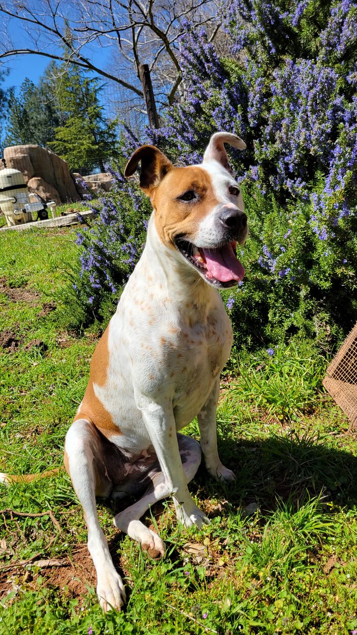 Hey Pandas, Post The Best Photographs You Took In April (Closed) Hey Pandas, Post The Best Photographs You Took In April (Closed)