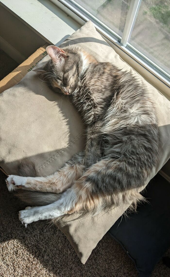 Hey Pandas, Post The Best Photographs You Took In April (Closed) Hey Pandas, Post The Best Photographs You Took In April (Closed)