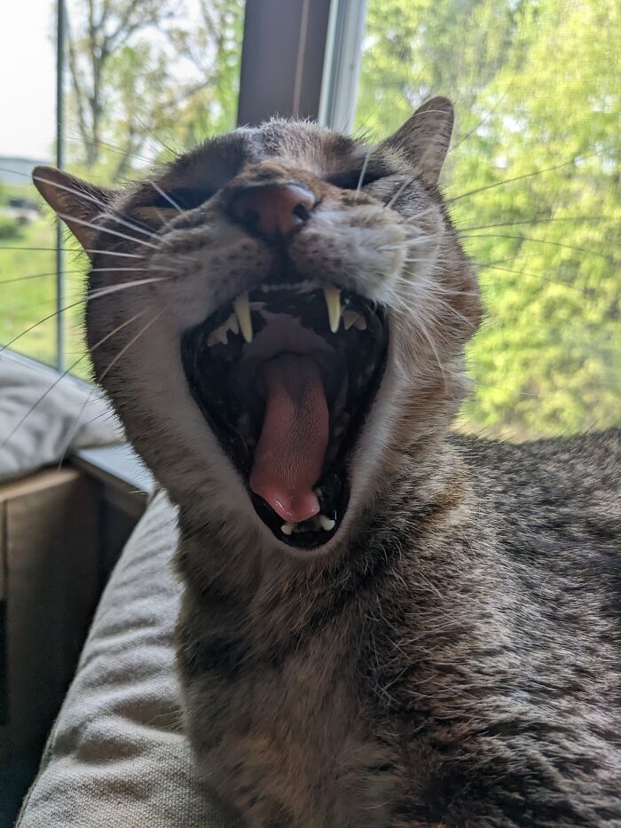 Hey Pandas, Post The Best Photographs You Took In April (Closed) Hey Pandas, Post The Best Photographs You Took In April (Closed)