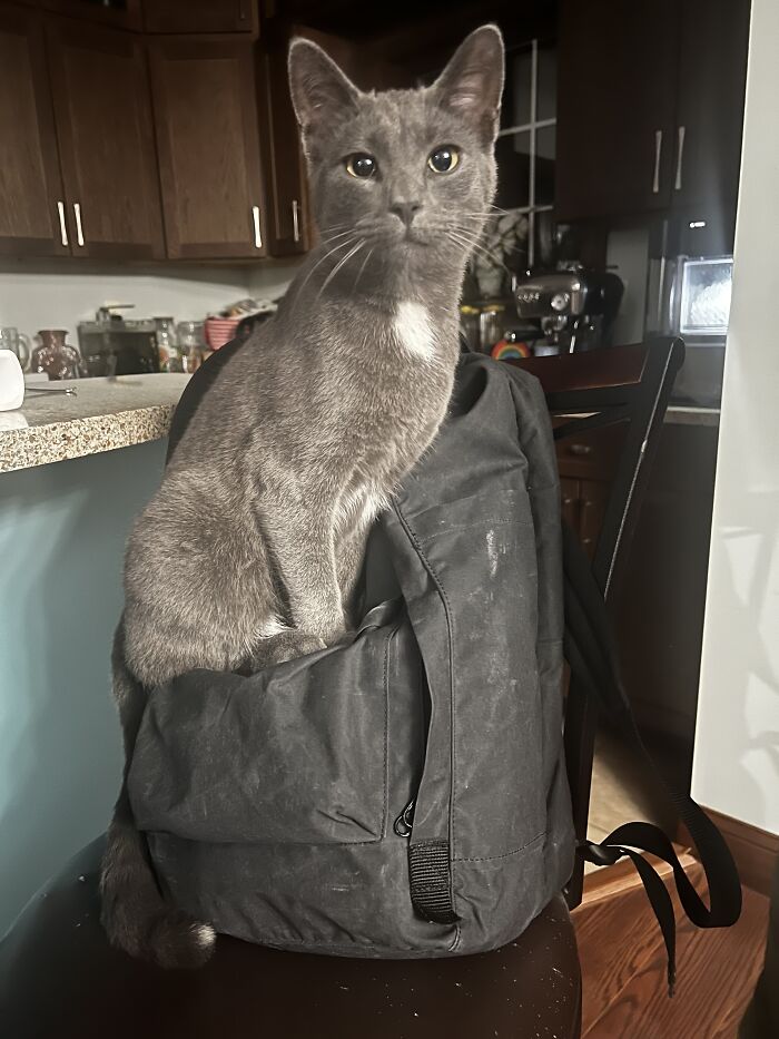 Hey Pandas, Post The Best Photographs You Took In April (Closed) Hey Pandas, Post The Best Photographs You Took In April (Closed)