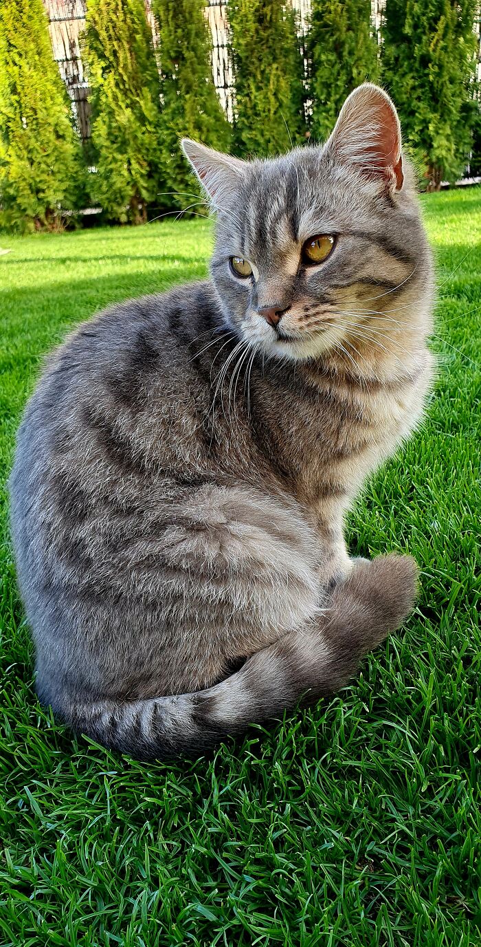 Hey Pandas, Post The Best Photographs You Took In April (Closed) Hey Pandas, Post The Best Photographs You Took In April (Closed)