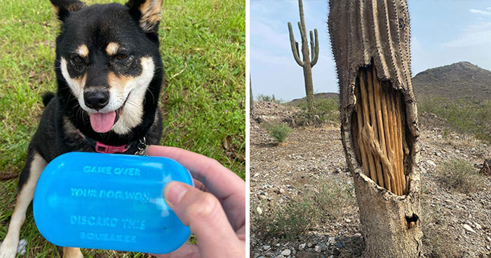 50 Times Things Got “Opened” And People Saw Interesting Things Inside (New Pics) 50 Times Things Got “Opened” And People Saw Interesting Things Inside (New Pics)