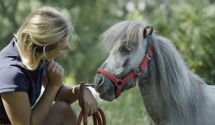 99 Strange World Records That Are Weirder Than They Seem 99 Strange World Records That Are Weirder Than They Seem