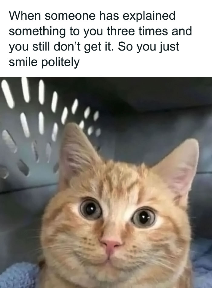 50 Funny Brain Memes That Might Get You Thinking