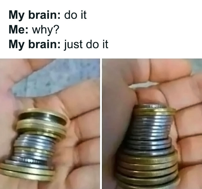 50 Funny Brain Memes That Might Get You Thinking