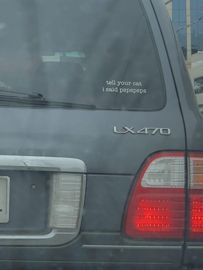 “Shut Up And Take My Money”: 40 Of The Newest “Odditymall” Finds To Empty Your Pockets “Shut Up And Take My Money”: 40 Of The Newest “Odditymall” Finds To Empty Your Pockets