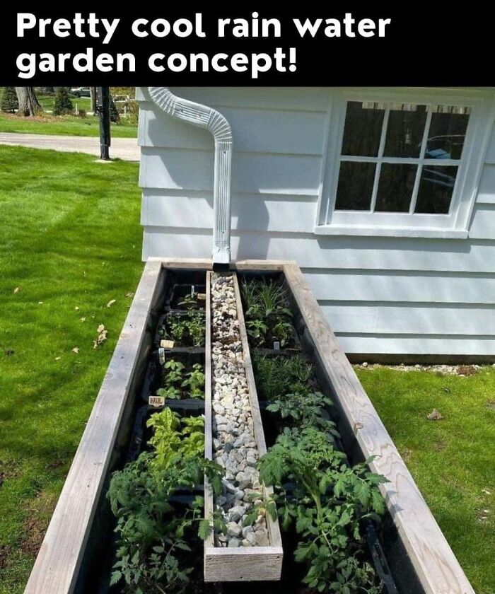 “Shut Up And Take My Money”: 40 Of The Newest “Odditymall” Finds To Empty Your Pockets “Shut Up And Take My Money”: 40 Of The Newest “Odditymall” Finds To Empty Your Pockets