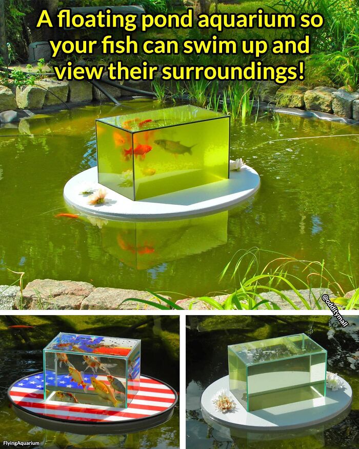 “Shut Up And Take My Money”: 40 Of The Newest “Odditymall” Finds To Empty Your Pockets “Shut Up And Take My Money”: 40 Of The Newest “Odditymall” Finds To Empty Your Pockets