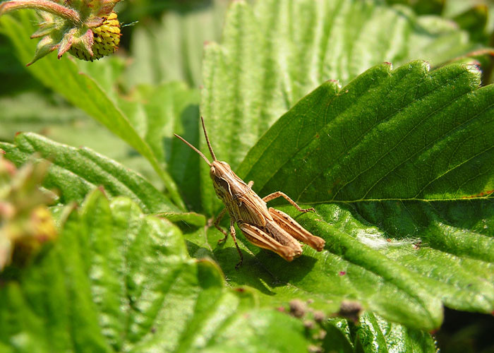 Someone Asked People To Share “Real But Crazy Facts That Could Save Your Life” And Here Are 30 Of The Most Helpful Someone Asked People To Share “Real But Crazy Facts That Could Save Your Life” And Here Are 30 Of The Most Helpful