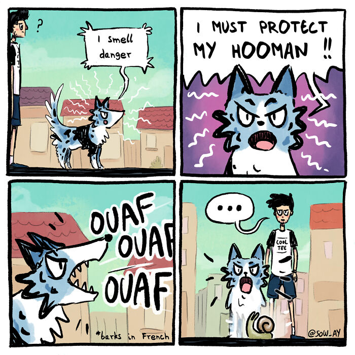 My 25 Funny Comics About My Life With A Dog