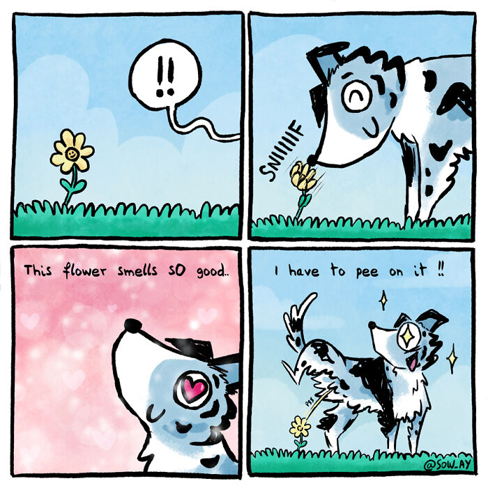 My 25 Funny Comics About My Life With A Dog