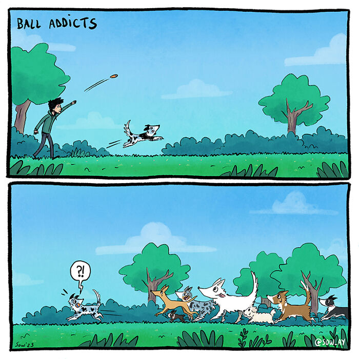 My 25 Funny Comics About My Life With A Dog