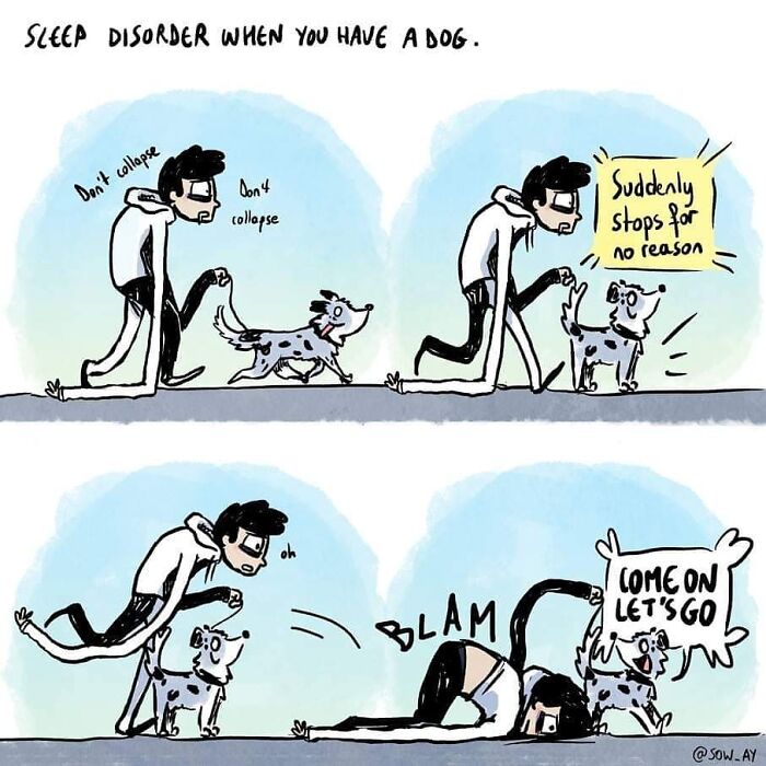 My 25 Funny Comics About My Life With A Dog