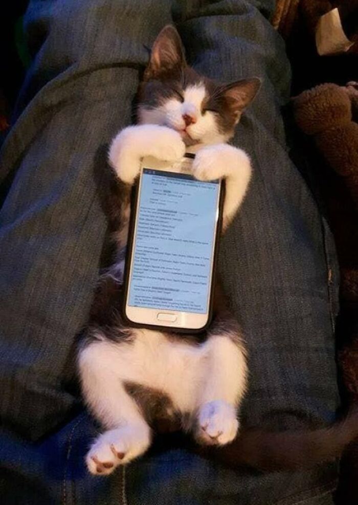 96 Weird, Cool, And Funny Phone Cases From All Over The Web 96 Weird, Cool, And Funny Phone Cases From All Over The Web