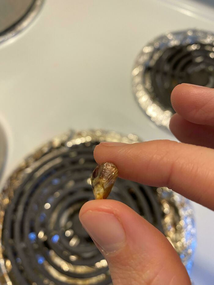 35 Hilariously Bad Shopping Fails That Befell Those Who Spent Money At Trader Joe’s 35 Hilariously Bad Shopping Fails That Befell Those Who Spent Money At Trader Joe’s